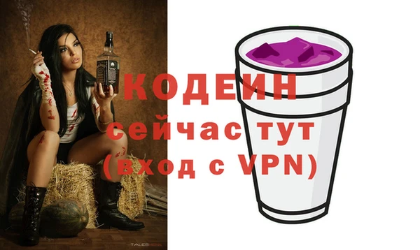 твердый Бородино