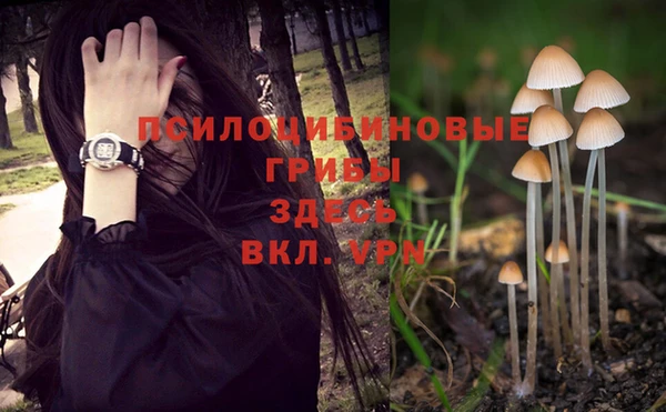 каннабис Белокуриха