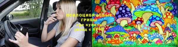 apvp Белоозёрский