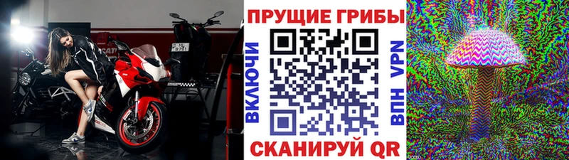 блэк спрут онион Сердобск Псилоцибиновые грибы Magic Shrooms купить наркотик